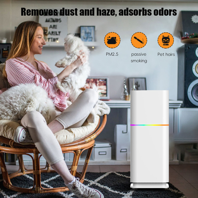 Good price ODM HEPA Odkurzacz pomieszczeń Oczyszczacz powietrza mieszkalny 240V dla PM2.5 w Internecie